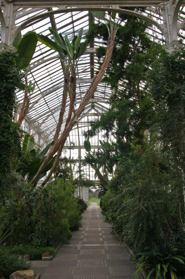 gal/Londres/Royal_Botanic_Gardens_-_Kew/Temperate_House/Temperate_House_Kew_Gardens21.jpg