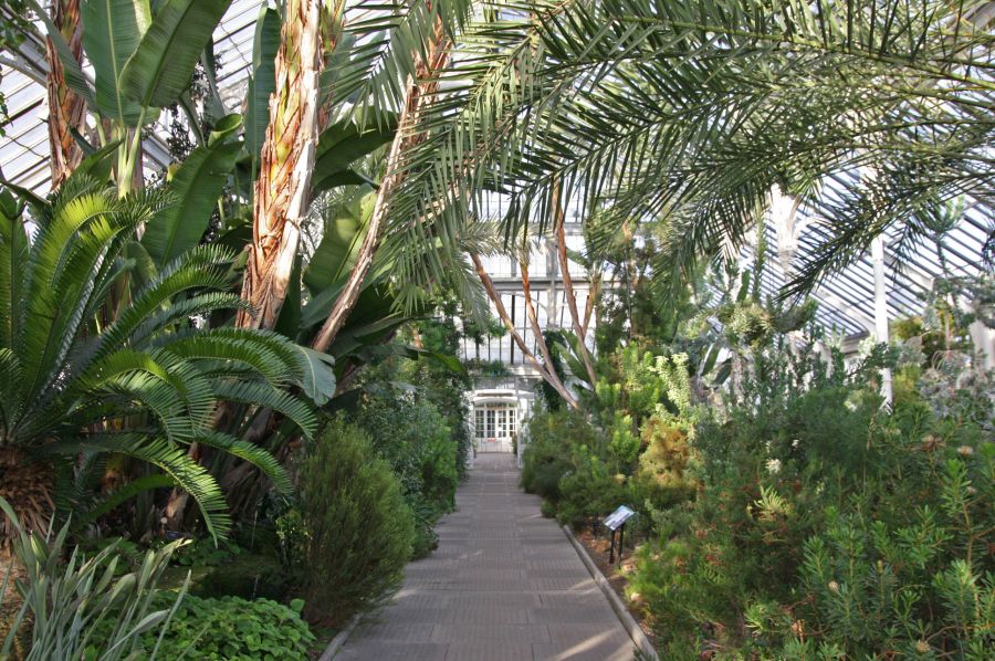 gal/Londres/Royal_Botanic_Gardens_-_Kew/Temperate_House/Temperate_House_Kew_Gardens26.jpg