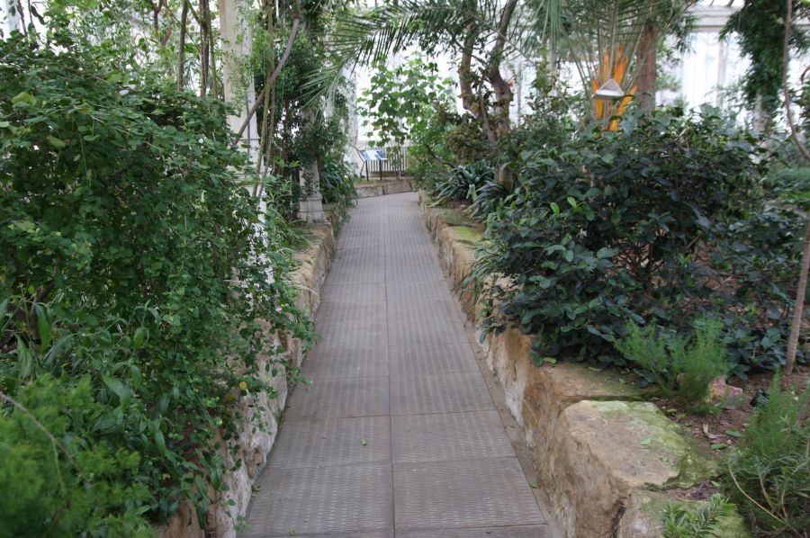 gal/Londres/Royal_Botanic_Gardens_-_Kew/Temperate_House/Temperate_House_Kew_Gardens27.jpg