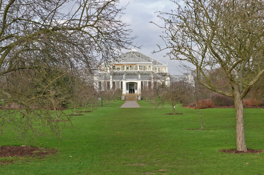gal/Londres/Royal_Botanic_Gardens_-_Kew/Temperate_House/Temperate_House_Kew_Gardens30.jpg