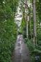 gal/Londres/Royal_Botanic_Gardens_-_Kew/Temperate_House/_thb_Temperate_House_Kew_Gardens03.jpg