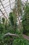 gal/Londres/Royal_Botanic_Gardens_-_Kew/Temperate_House/_thb_Temperate_House_Kew_Gardens10.jpg