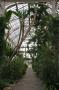 gal/Londres/Royal_Botanic_Gardens_-_Kew/Temperate_House/_thb_Temperate_House_Kew_Gardens21.jpg