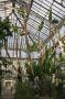 gal/Londres/Royal_Botanic_Gardens_-_Kew/Temperate_House/_thb_Temperate_House_Kew_Gardens24.jpg