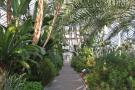 gal/Londres/Royal_Botanic_Gardens_-_Kew/Temperate_House/_thb_Temperate_House_Kew_Gardens26.jpg