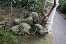 gal/Londres/Royal_Botanic_Gardens_-_Kew/Temperate_House/_thb_Temperate_House_Kew_Gardens28.jpg