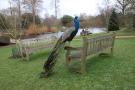 gal/Londres/Royal_Botanic_Gardens_-_Kew/_thb_Royal_Botanic_Gardens_Kew82.jpg
