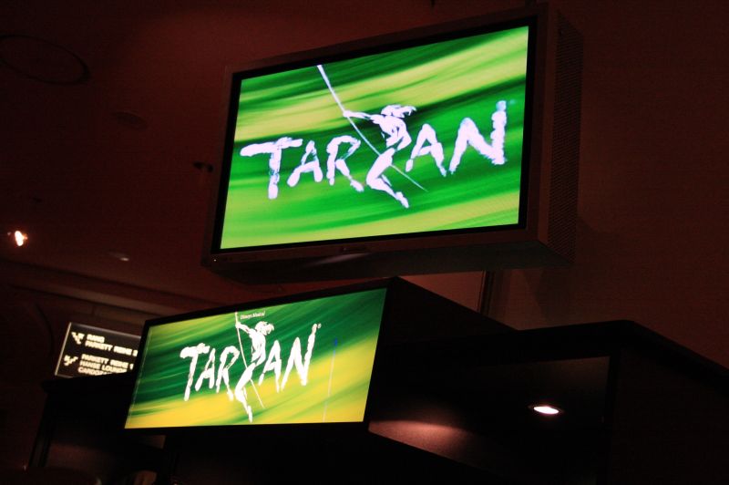 gal/Musical_Theatres/Tarzan_-_Disney_Musical_-_Hamburg/Tarzan_Disney_Musical_Hamburg054.jpg