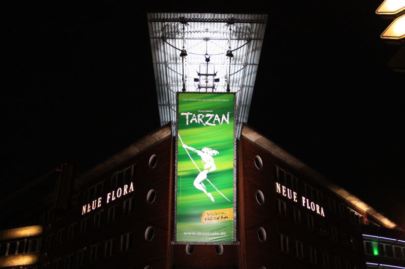 gal/Musical_Theatres/Tarzan_-_Disney_Musical_-_Hamburg/Tarzan_Disney_Musical_Hamburg130.jpg