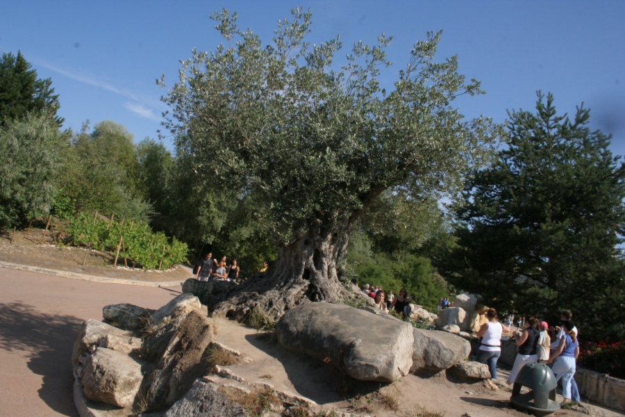 gal/Parc_Asterix/IMG_8256.JPG