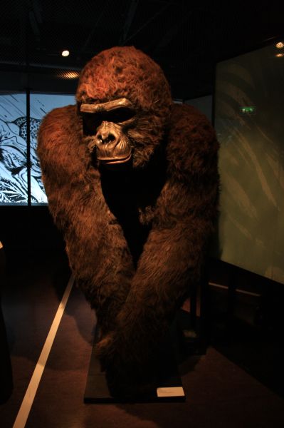 gal/Paris/Musee_du_Quai_Branly/Tarzan_ou_Rousseau_chez_les_Waziris/Tarzan_Exposition_Musee_Quai_Branly022.jpg
