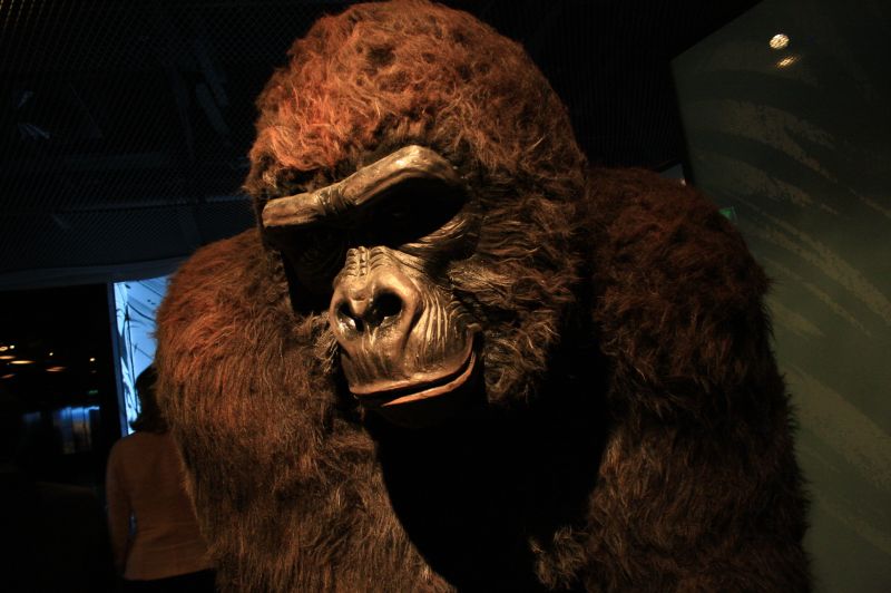 gal/Paris/Musee_du_Quai_Branly/Tarzan_ou_Rousseau_chez_les_Waziris/Tarzan_Exposition_Musee_Quai_Branly023.jpg