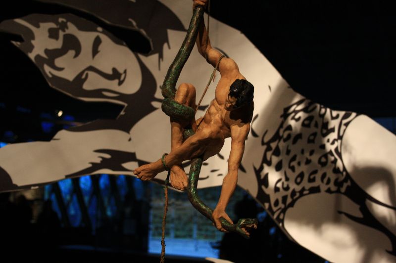 gal/Paris/Musee_du_Quai_Branly/Tarzan_ou_Rousseau_chez_les_Waziris/Tarzan_Exposition_Musee_Quai_Branly027.jpg