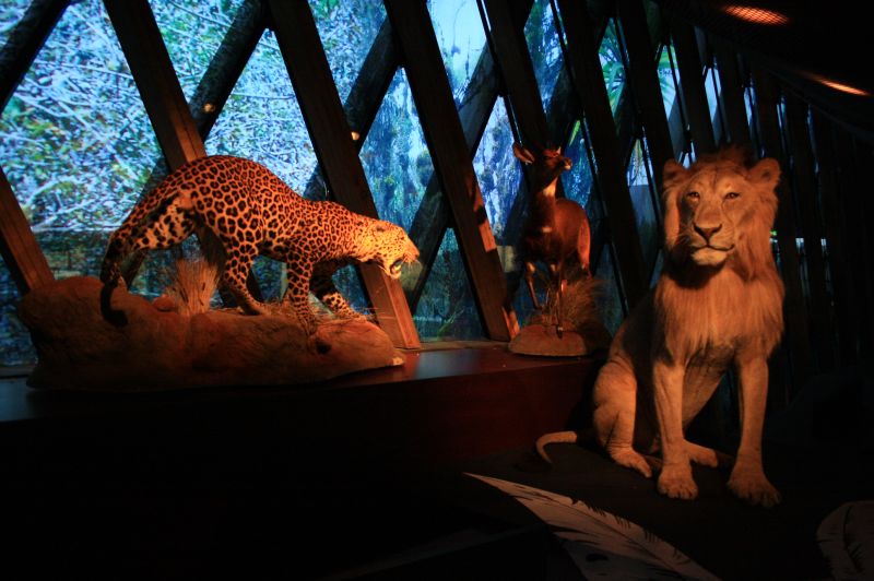 gal/Paris/Musee_du_Quai_Branly/Tarzan_ou_Rousseau_chez_les_Waziris/Tarzan_Exposition_Musee_Quai_Branly078.jpg