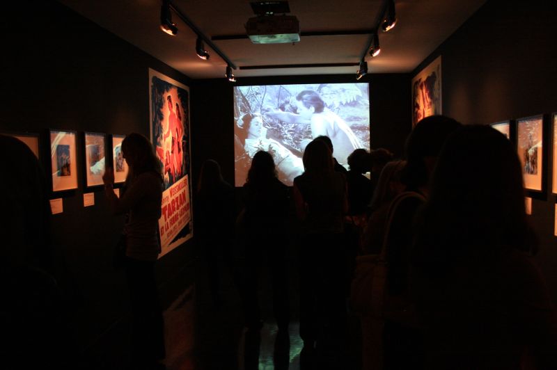 gal/Paris/Musee_du_Quai_Branly/Tarzan_ou_Rousseau_chez_les_Waziris/Tarzan_Exposition_Musee_Quai_Branly089.jpg