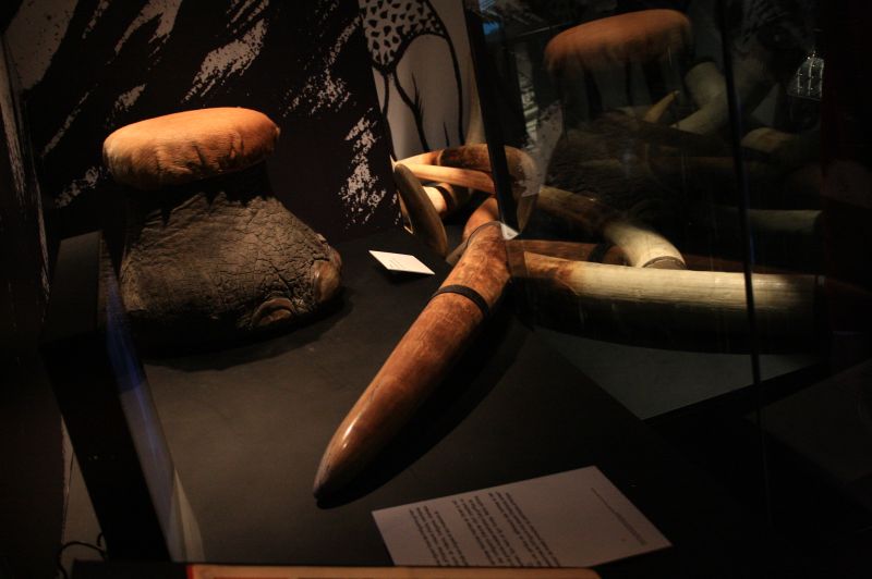 gal/Paris/Musee_du_Quai_Branly/Tarzan_ou_Rousseau_chez_les_Waziris/Tarzan_Exposition_Musee_Quai_Branly135.jpg