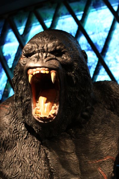 gal/Paris/Musee_du_Quai_Branly/Tarzan_ou_Rousseau_chez_les_Waziris/Tarzan_Exposition_Musee_Quai_Branly171.jpg