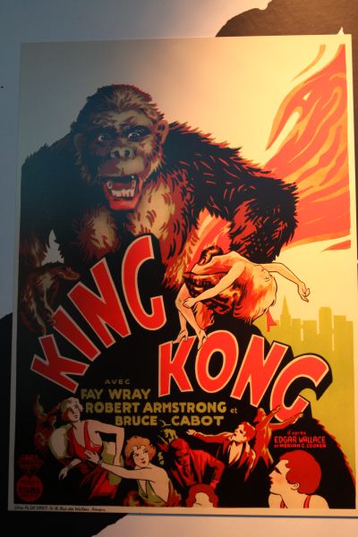 gal/Paris/Musee_du_Quai_Branly/Tarzan_ou_Rousseau_chez_les_Waziris/Tarzan_Exposition_Musee_Quai_Branly172.jpg