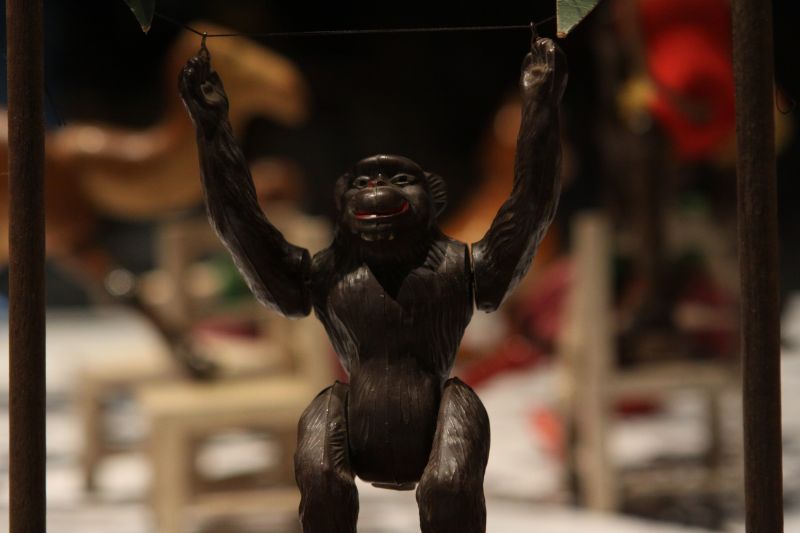 gal/Paris/Musee_du_Quai_Branly/Tarzan_ou_Rousseau_chez_les_Waziris/Tarzan_Exposition_Musee_Quai_Branly184.jpg
