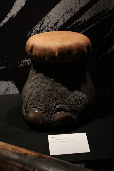 gal/Paris/Musee_du_Quai_Branly/Tarzan_ou_Rousseau_chez_les_Waziris/Tarzan_Exposition_Musee_Quai_Branly224.jpg