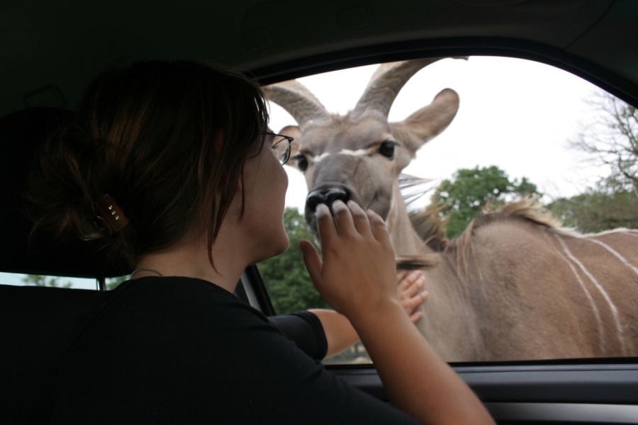 gal/Paris/Zoo_de_Thoiry/IMG_3789.JPG