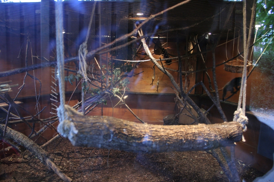 gal/Paris/Zoo_de_Thoiry/IMG_3864.JPG