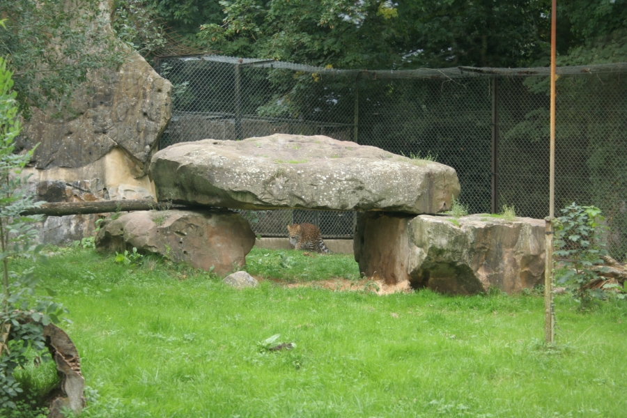 gal/Paris/Zoo_de_Thoiry/IMG_3871.JPG