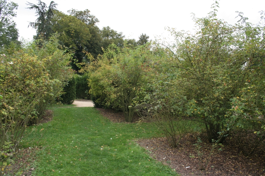 gal/Paris/Zoo_de_Thoiry/IMG_3894.JPG