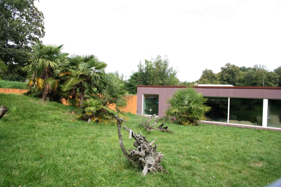 gal/Paris/Zoo_de_Thoiry/IMG_3921.JPG