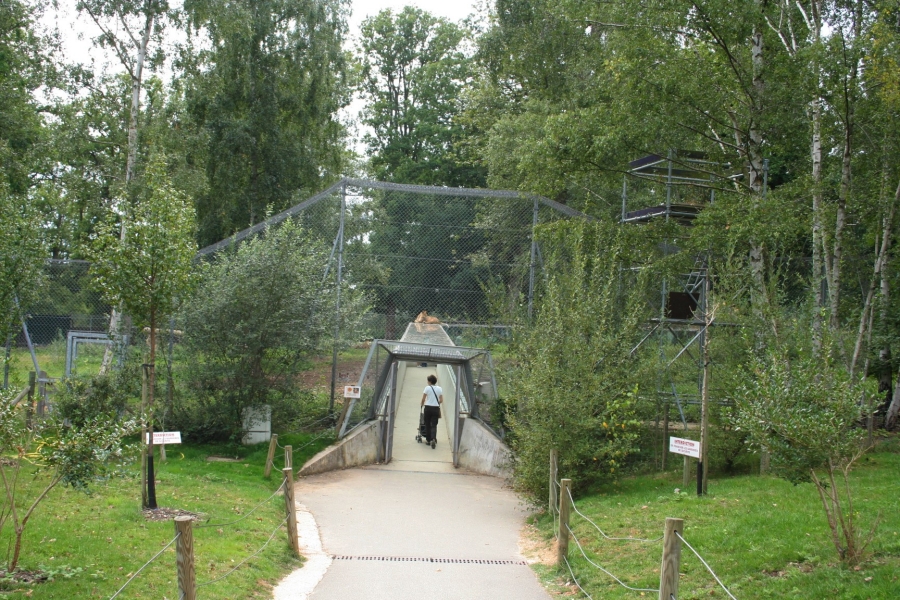 gal/Paris/Zoo_de_Thoiry/IMG_3933.JPG