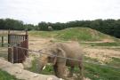 gal/Paris/Zoo_de_Thoiry/_thb_IMG_3701.JPG