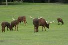 gal/Paris/Zoo_de_Thoiry/_thb_IMG_3709.JPG
