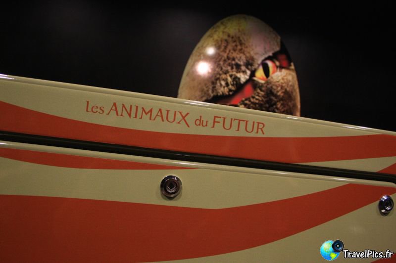 gal/Theme_Parks/Futuroscope/Les_Animaux_du_Futur/Animaux_du_Futur_Futuroscope032.jpg