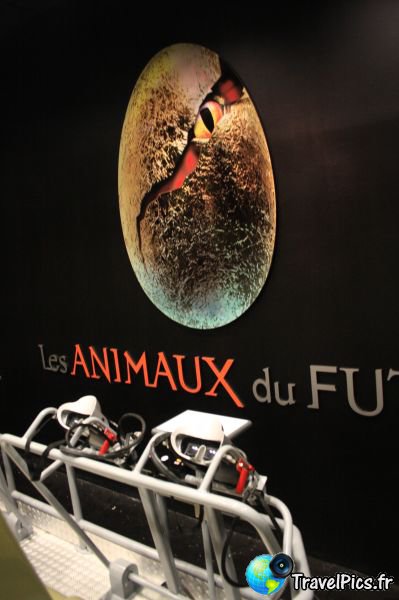 gal/Theme_Parks/Futuroscope/Les_Animaux_du_Futur/Animaux_du_Futur_Futuroscope039.jpg