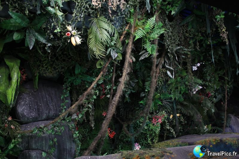 gal/Theme_Parks/Futuroscope/Les_Animaux_du_Futur/Animaux_du_Futur_Futuroscope048.jpg
