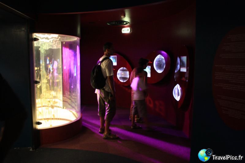 gal/Theme_Parks/Futuroscope/Les_Animaux_du_Futur/Animaux_du_Futur_Futuroscope052.jpg
