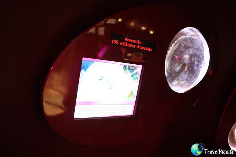 gal/Theme_Parks/Futuroscope/Les_Animaux_du_Futur/Animaux_du_Futur_Futuroscope056.jpg