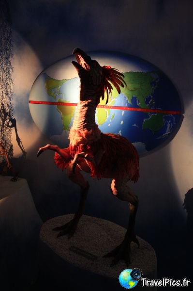 gal/Theme_Parks/Futuroscope/Les_Animaux_du_Futur/Animaux_du_Futur_Futuroscope059.jpg