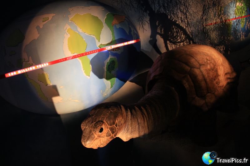 gal/Theme_Parks/Futuroscope/Les_Animaux_du_Futur/Animaux_du_Futur_Futuroscope067.jpg