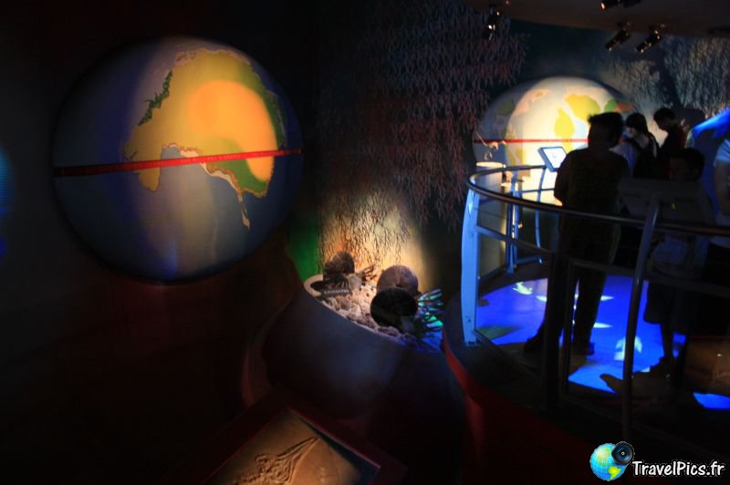 gal/Theme_Parks/Futuroscope/Les_Animaux_du_Futur/Animaux_du_Futur_Futuroscope069.jpg