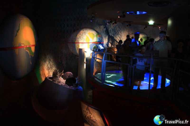 gal/Theme_Parks/Futuroscope/Les_Animaux_du_Futur/Animaux_du_Futur_Futuroscope071.jpg