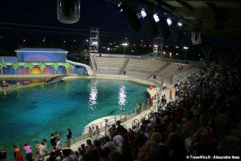 gal/Theme_Parks/Marineland/Dauphins/Marineland_Dauphins005.jpg