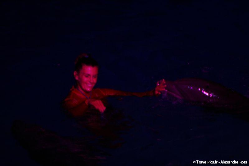 gal/Theme_Parks/Marineland/Dauphins/Marineland_Dauphins022.jpg