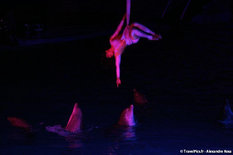 gal/Theme_Parks/Marineland/Dauphins/Marineland_Dauphins044.jpg