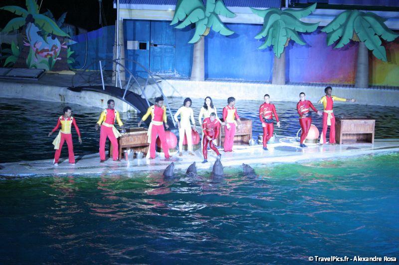 gal/Theme_Parks/Marineland/Dauphins/Marineland_Dauphins053.jpg
