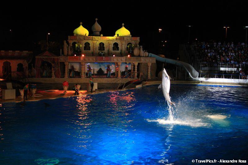 gal/Theme_Parks/Marineland/Dauphins/Marineland_Dauphins088.jpg