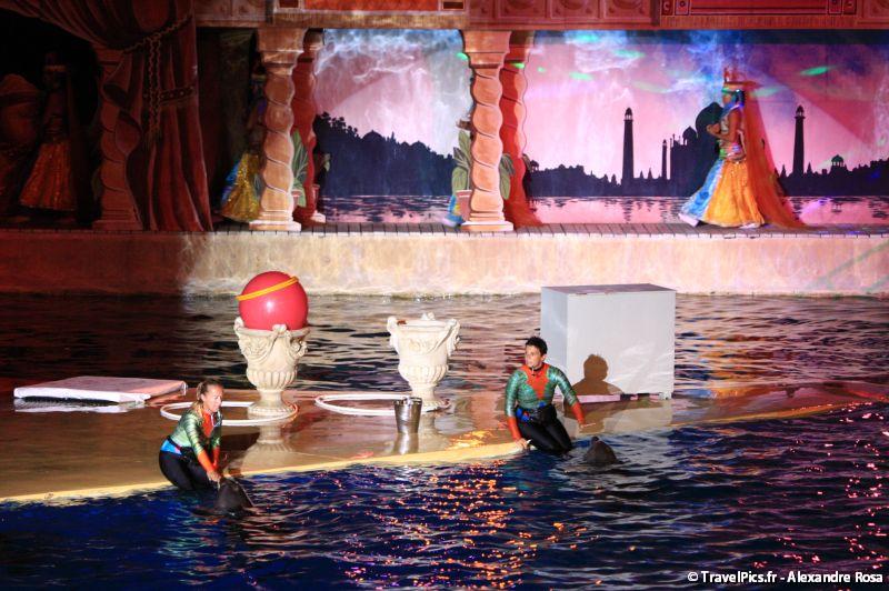 gal/Theme_Parks/Marineland/Dauphins/Marineland_Dauphins089.jpg