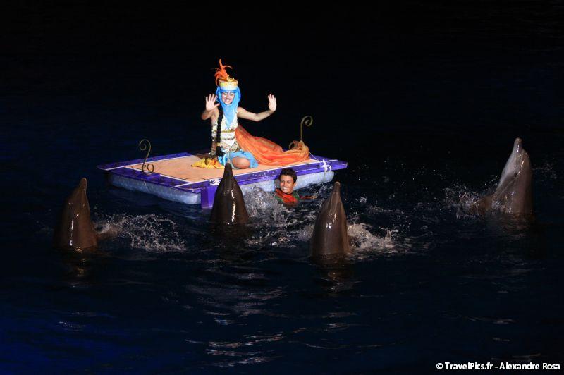 gal/Theme_Parks/Marineland/Dauphins/Marineland_Dauphins113.jpg