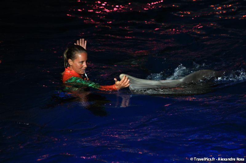 gal/Theme_Parks/Marineland/Dauphins/Marineland_Dauphins126.jpg