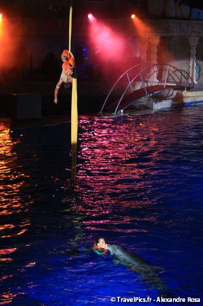 gal/Theme_Parks/Marineland/Dauphins/Marineland_Dauphins128.jpg